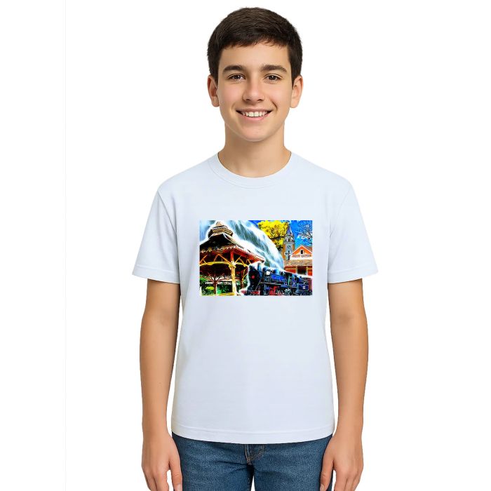 Camiseta Passa Quatro Turismo Quadro Estampa Personalizada